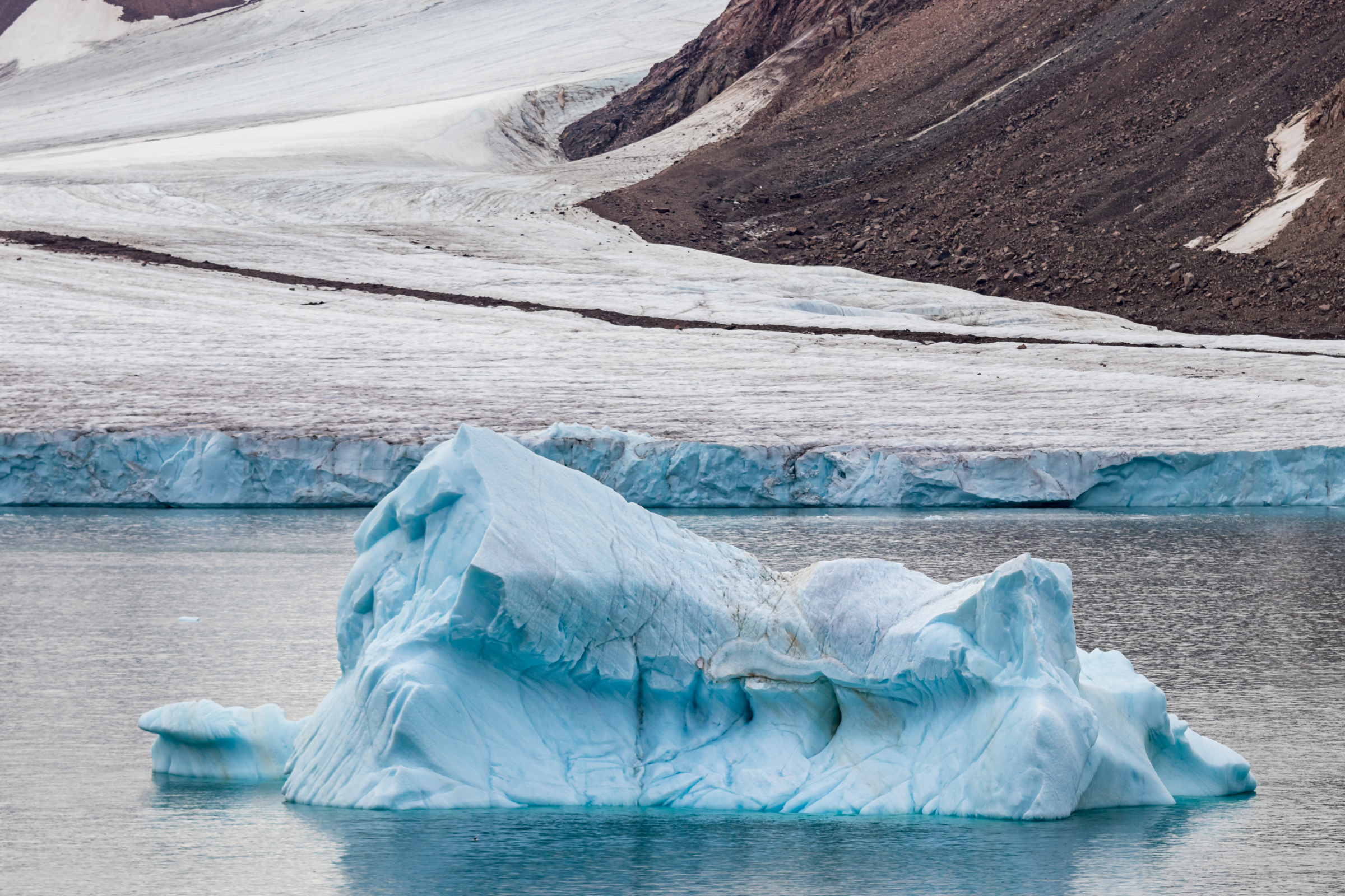 40 ellesmere island, nunavut.webp